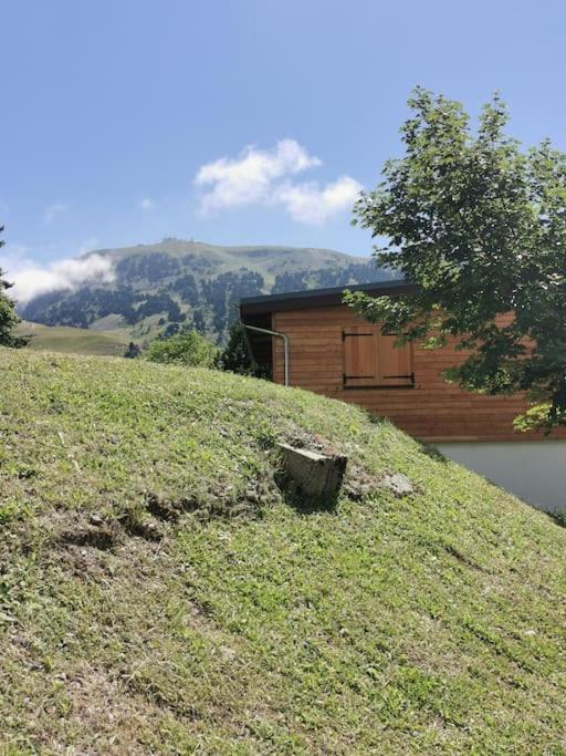 Studio 2P, Proche Pistes, Reduction Materiel Ski Apartamento Chamrousse Exterior foto